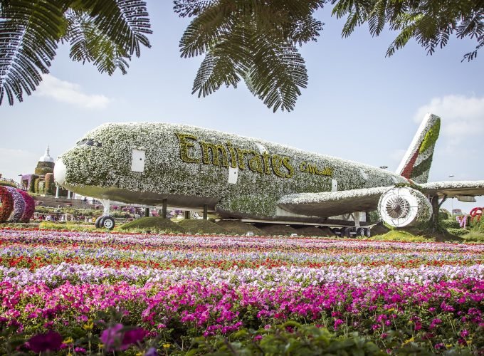 <h1 style='font-size:18px;'>حديقة ميراكل جاردن دبي</h1><H2 style='color:#5E6D77;font-size:14px;'>حديقة دبي المعجزة أكبر حديقة زهور طبيعية في العالم وتضم أكثر من 150 مليون زهرة</H2>
