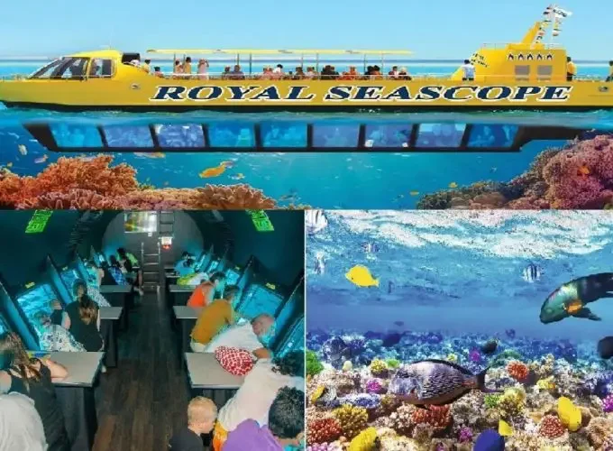 Sharm : Semi-Submarine Excursion & Coral Reef Viewing Tour