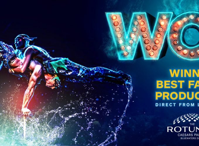 <h1 style='font-size:18px;'>The Rotunda Dubai (Silver Tickets)</h1><H2 style='color:#5E6D77;font-size:14px;'>A wow-inducing blend of acrobatic feats, splendid music and awesome effects awaits you with the WOW show at Rotunda Dubai</H2>