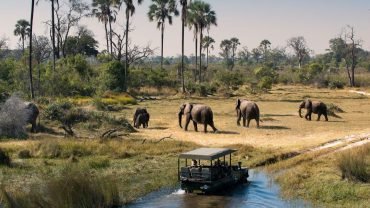 Botswana Tours & Travel Packages | Booking Deals