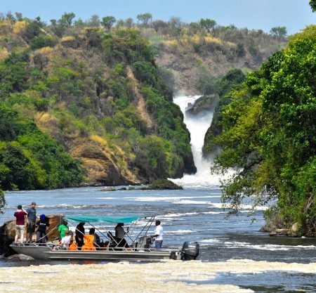 <h1 style='font-size:18px;'>Uganda 4 Stars Safari</h1><H2 style='color:#5E6D77;font-size:14px;'>5 Day journey to the Murchison Falls in Uganda, includes hotels & tour guide </H2>